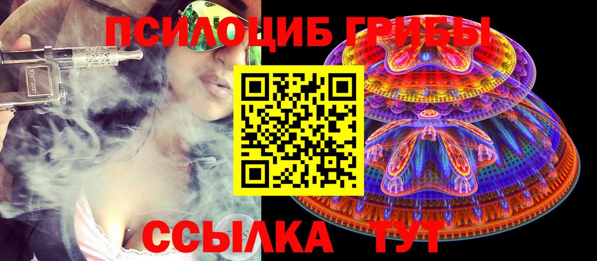 Советский  Псилоцибиновые грибы Cubensis  Вход с VPN 